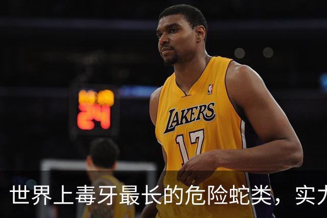 世界上毒牙最长的危险蛇类，实力惊人却低调神秘
